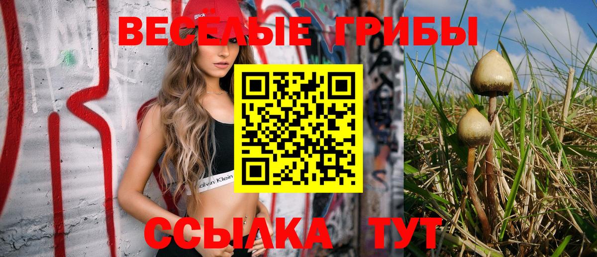 Качканар  Псилоцибиновые грибы ЛСД  наркота  Вход с VPN 