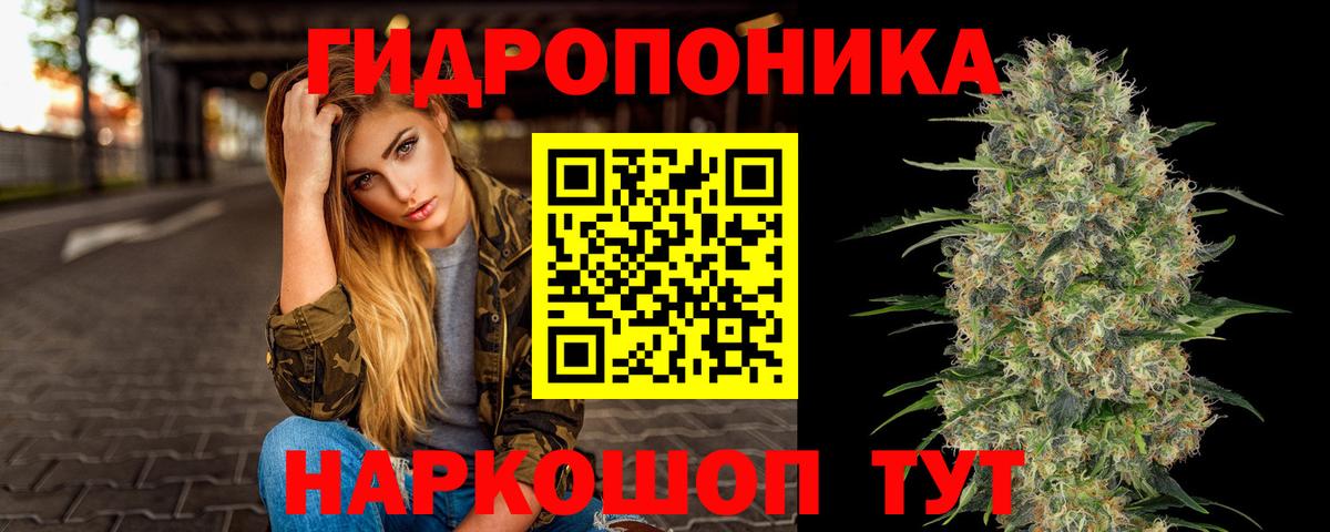Качканар  Каннабис конопля  Вход с VPN  Марихуана планчик  МАРИХУАНА Ganja 